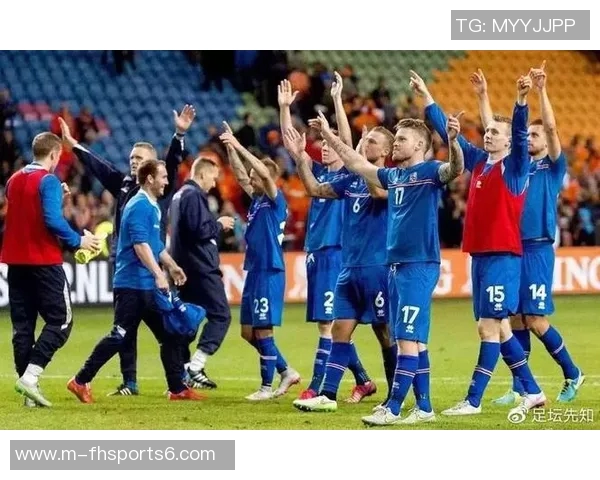 冰岛与匈牙利足球赛首发阵容分析及战术对比